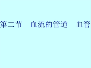 第二节--血流的管道--血管-2