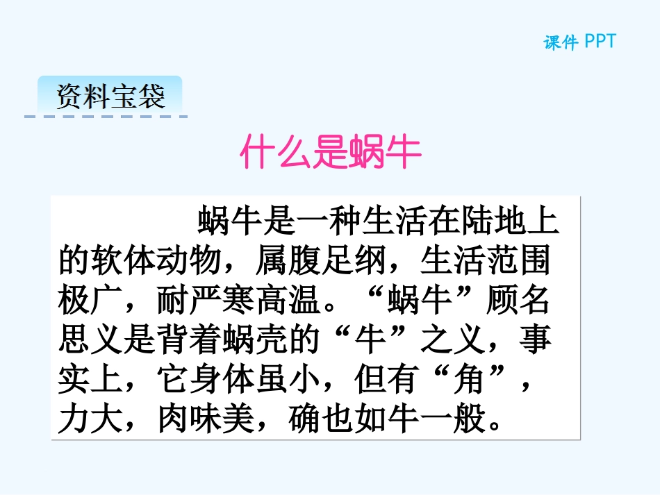 (部编)人教2011课标版一年级上册小蜗牛-(3)_第2页