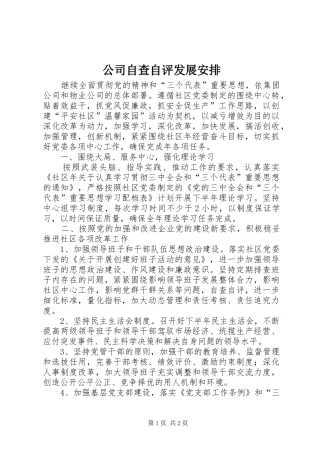 公司自查自评发展安排