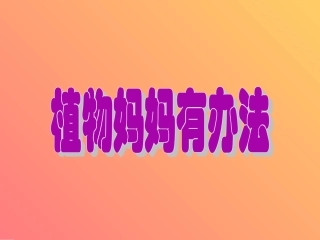 sx植物妈妈有办法1