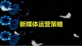 新媒体运营整体策划方案运营策略初稿ppt