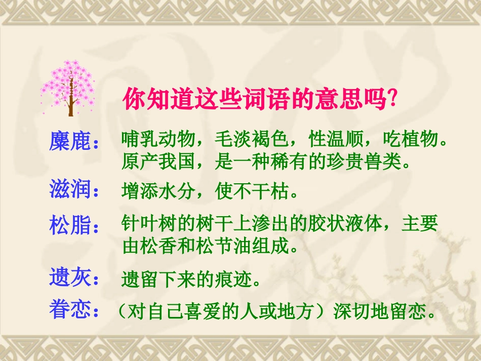 这片土地是神圣的课件_第3页