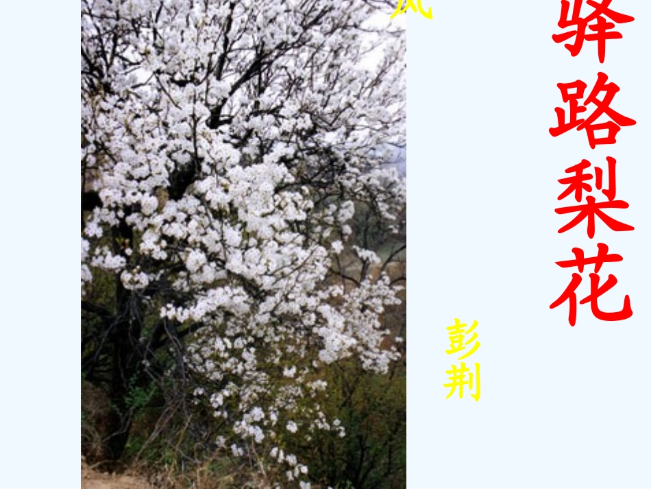 (部编)初中语文人教2011课标版七年级下册驿路梨花处处开-(2)_第1页