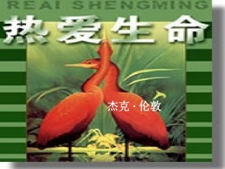 九年级语文热爱生命