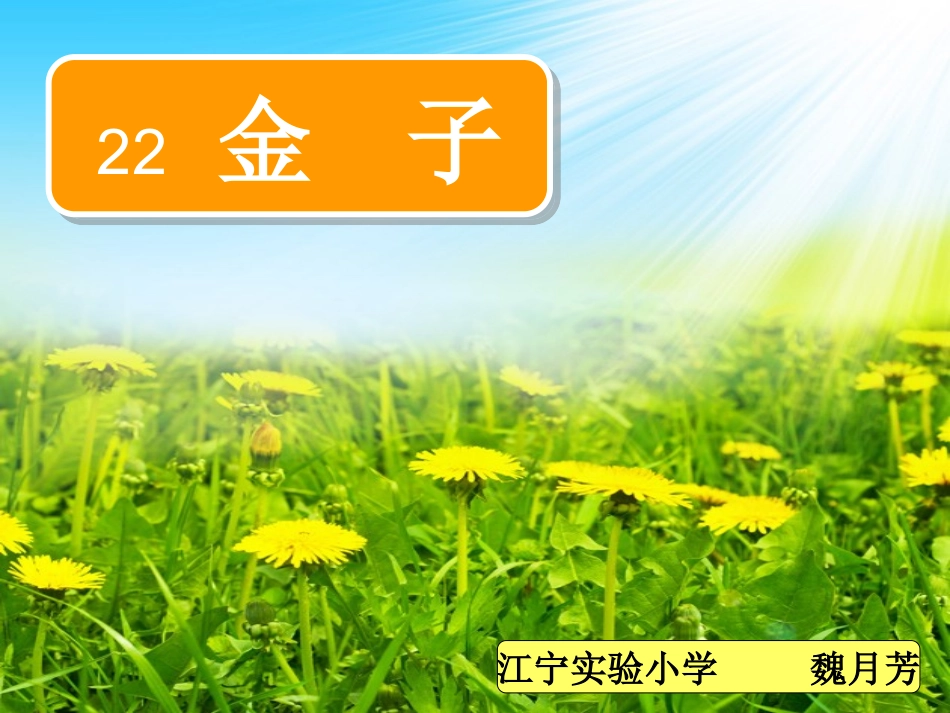 苏教版三上《金子》ppt_第1页