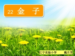 苏教版三上《金子》ppt