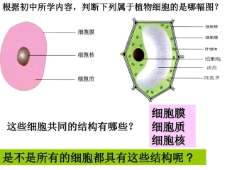 1-2-细胞的多样性和统一性