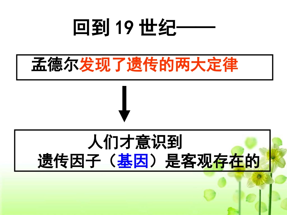 基因在染色体上_第2页