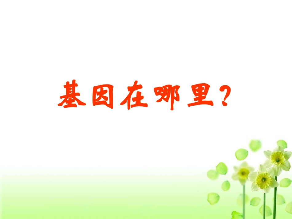 基因在染色体上_第3页