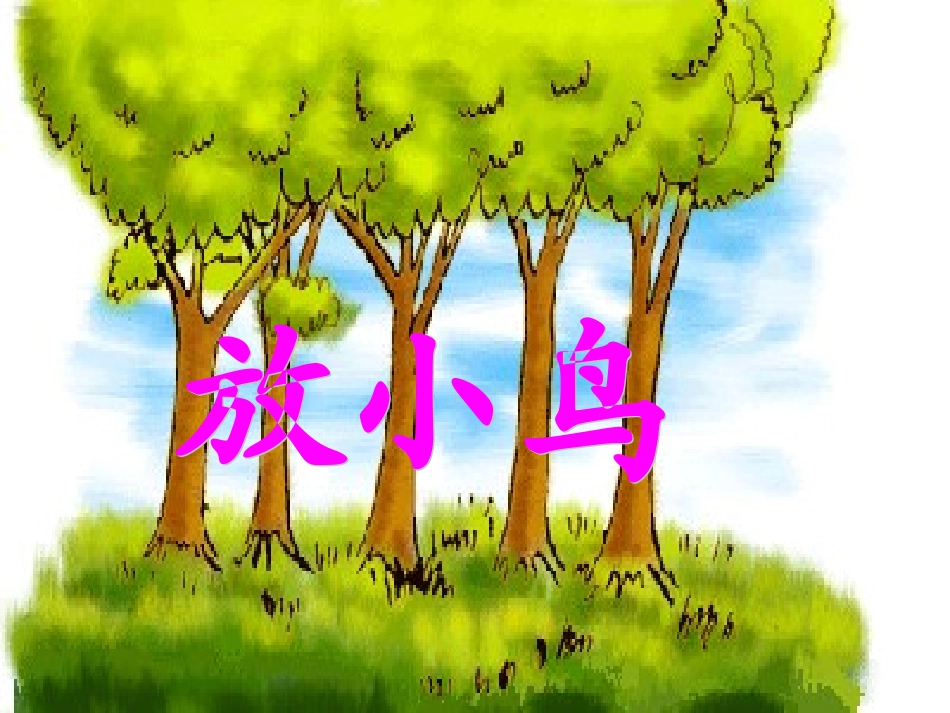 放小鸟 课件_第1页