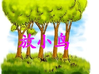 放小鸟 课件