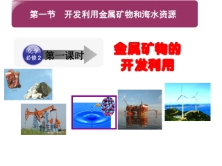 看见资源帮忙下载一下-金属矿物的开发利用