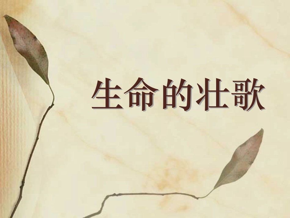 生命的壮歌 (3)_第1页
