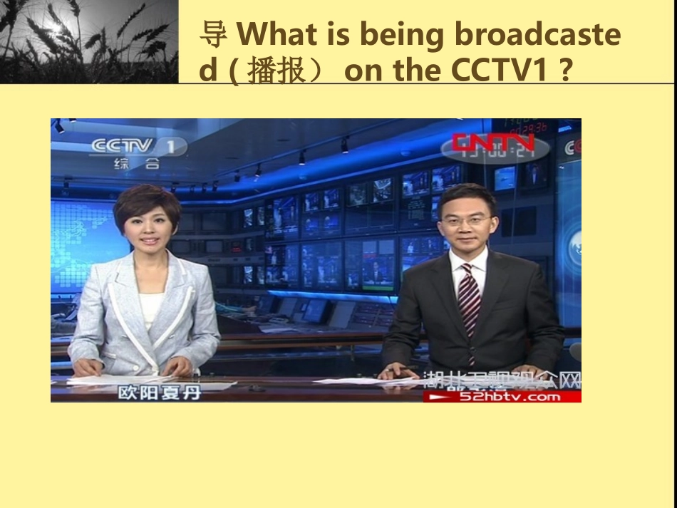 第11单元第1课张全富_第2页