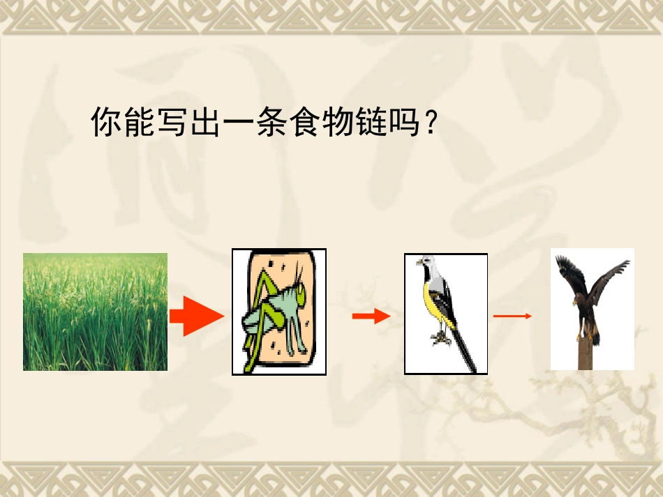 生态系统的能量流动和物质循环复习课_第2页