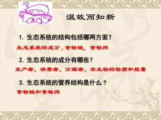 生态系统的能量流动和物质循环复习课