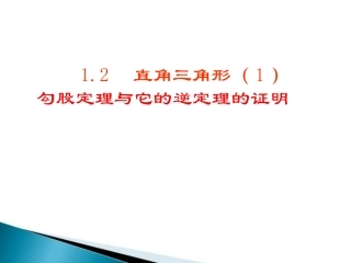 1.2.1直角三角形.2.1