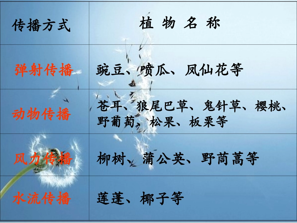 植物种子的传播方式_第2页
