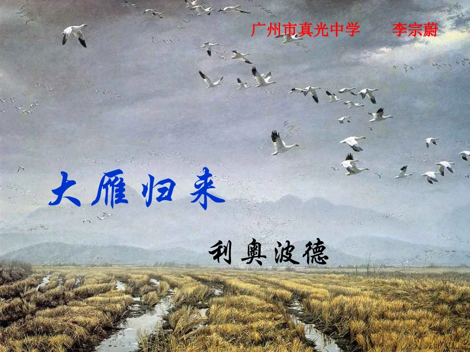 大雁归来(1)_第1页