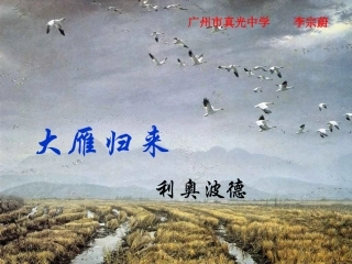 大雁归来(1)