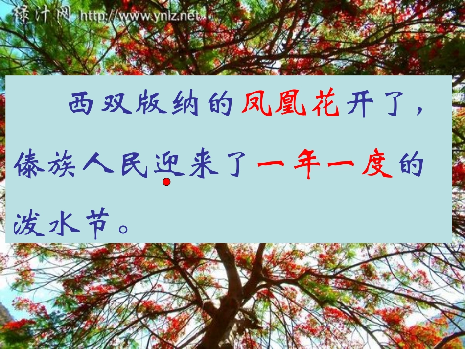 20欢乐的泼水节(1)_第3页