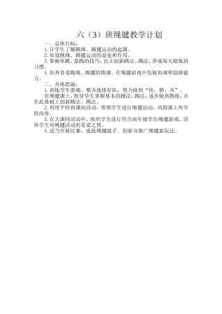 六（3）绳毽计划