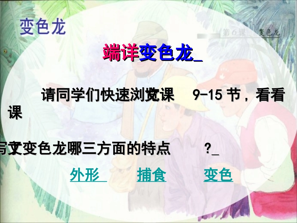 变色龙 课件_第3页