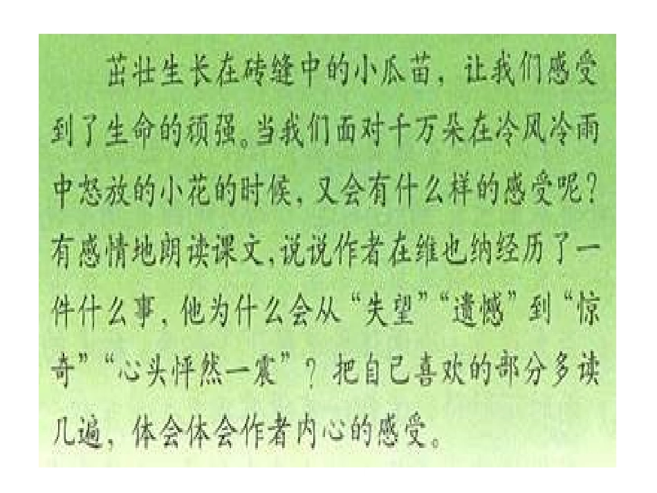 20《花的勇气》课件_第3页