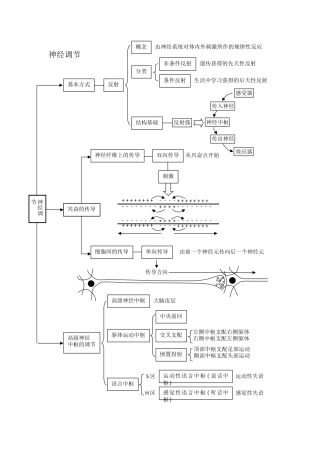 神经调节知识树 (2)