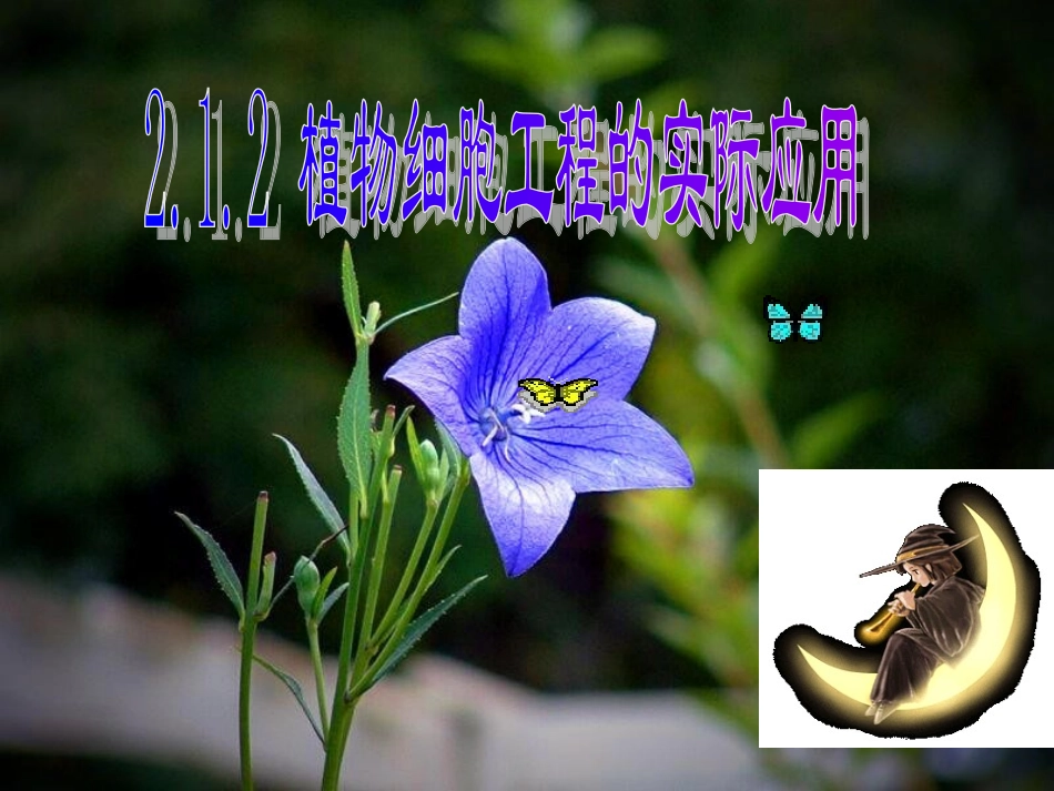 212植物细胞工程的实际应用_第1页