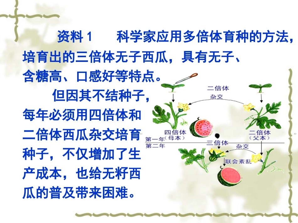 212植物细胞工程的实际应用_第3页