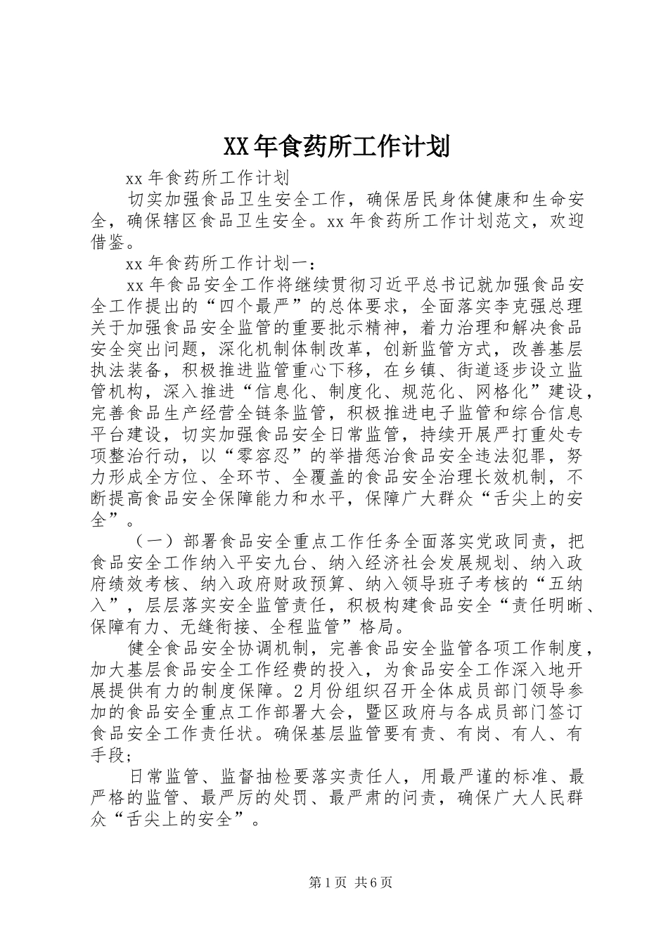 XX年食药所工作计划_第1页