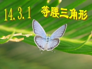 新人教八年级13.3.1等腰三角形课件