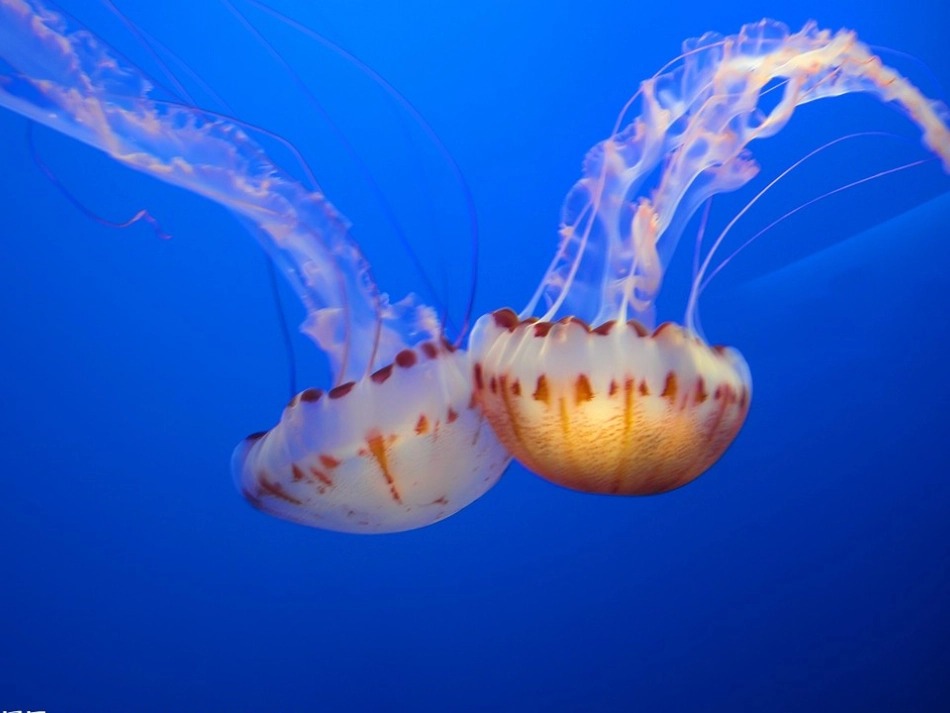 41爱护水资源课件_第3页