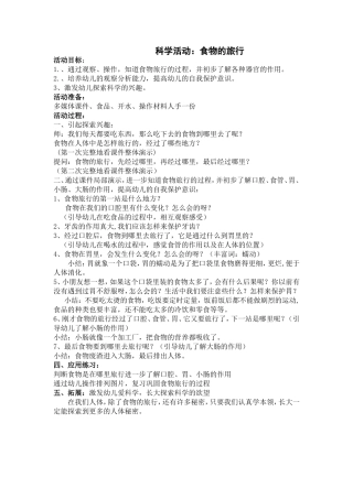 科学活动：《食物的旅行》
