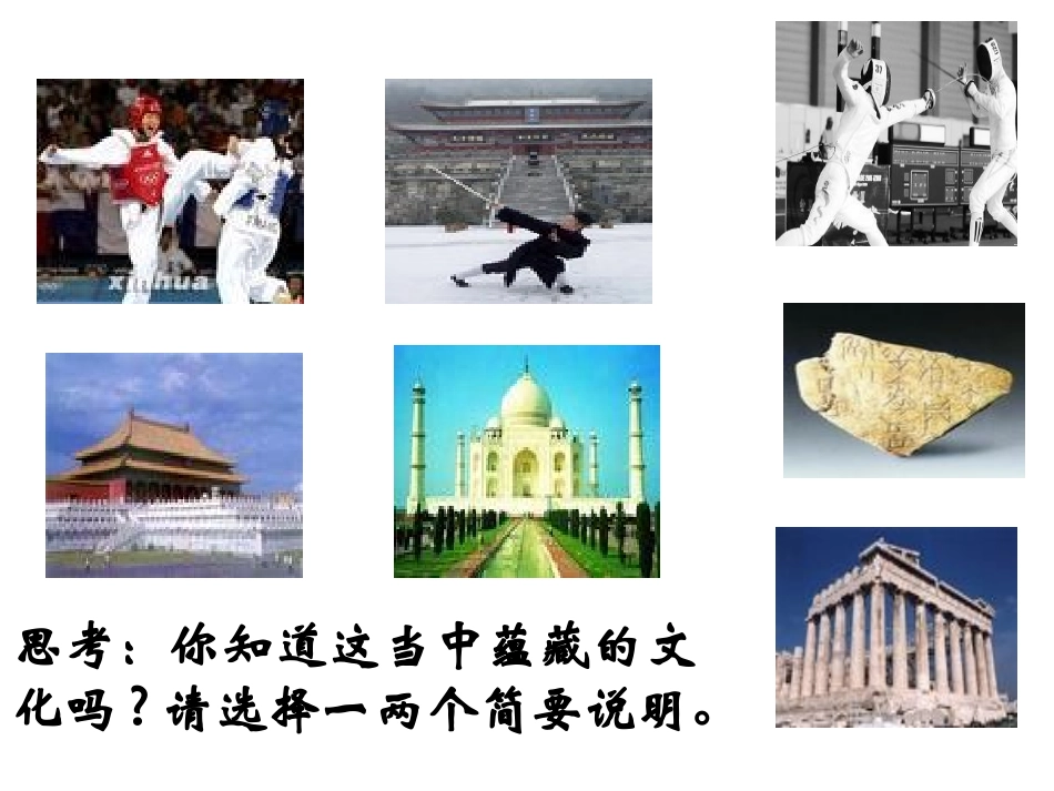 231世界文化的多样性_第3页