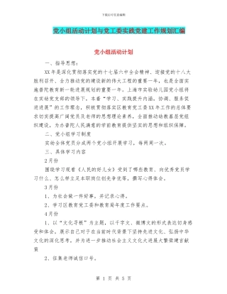 党小组活动计划与党工委实践党建工作规划汇编