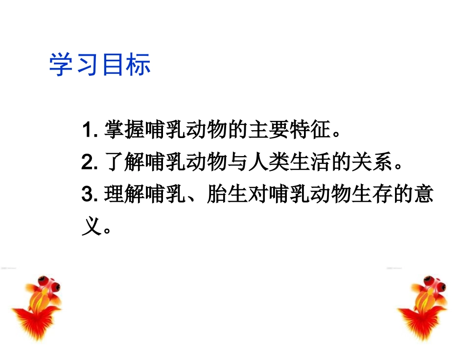 517哺乳动物_第3页