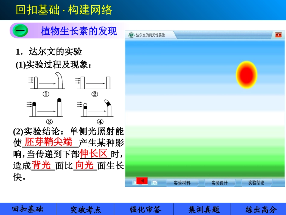 高考生物第七单元  第30讲植物的激素调节_第2页