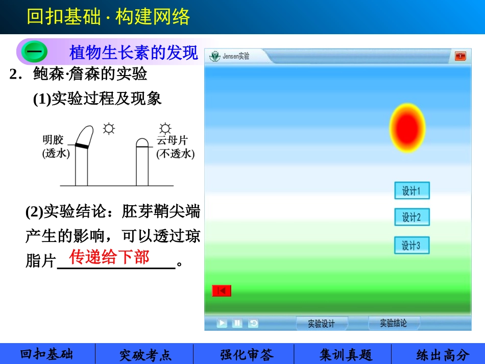 高考生物第七单元  第30讲植物的激素调节_第3页