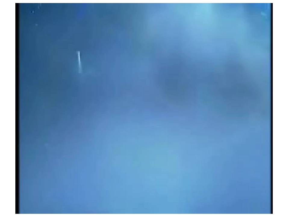 人教版小学品德与社会四年级上《伸出爱的手》课件_第2页