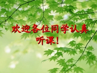 21整式第一课时-人教版