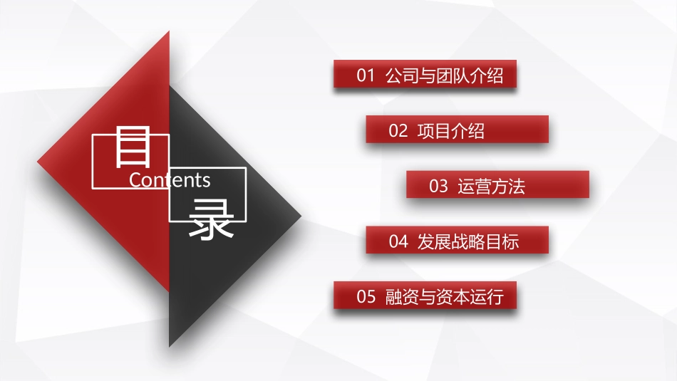 商业融资计划书_第2页