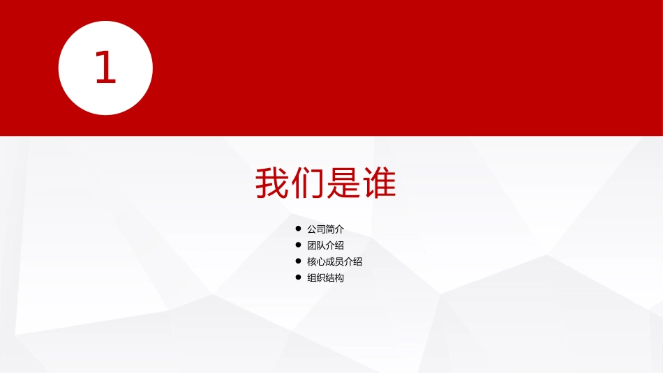 商业融资计划书_第3页