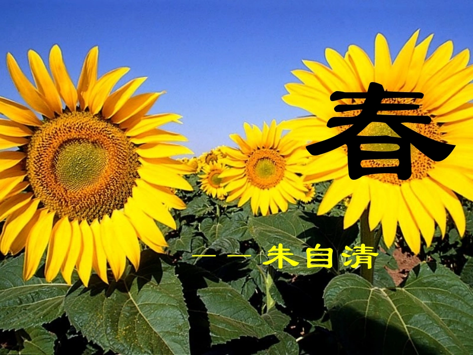 啊-船长-我的船长_第1页