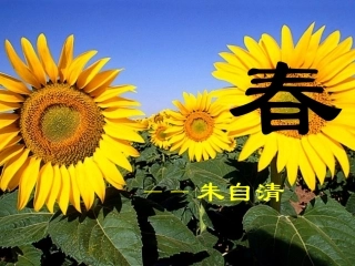 啊-船长-我的船长