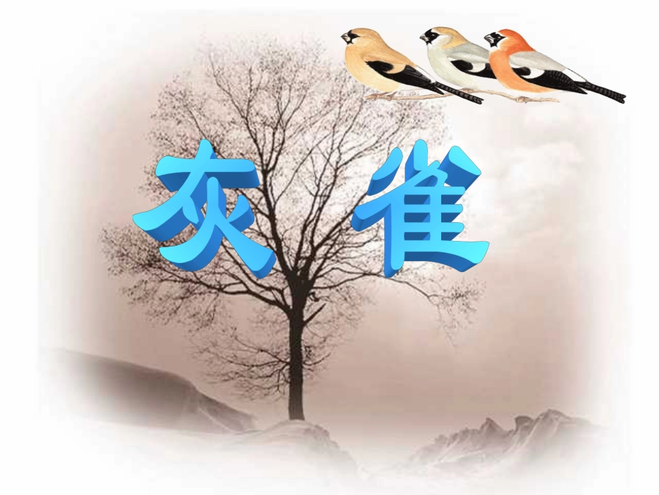 《灰雀》PPT公开课_第2页