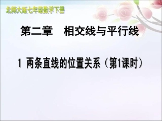 21两条直线的位置关系