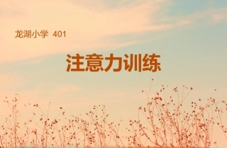 小学生注意力训练 课用PPT