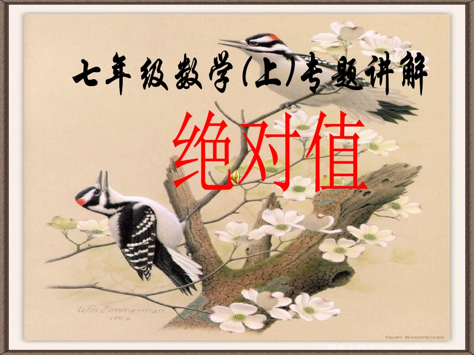 七年级数学专题讲座——绝对值_第1页